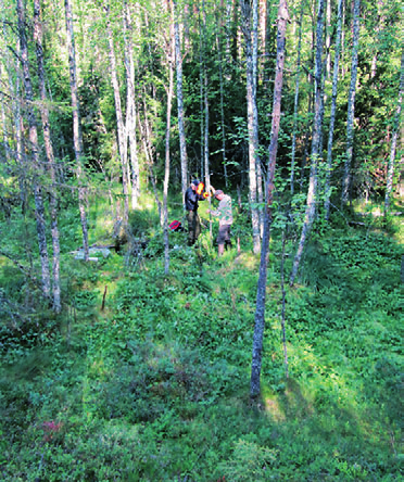 Kirjoittajan väitöstutkimuksessa taigametsien kasvillisuuden kehitystä tutkittiin siperianlehtikuusen (Larix sibirica) läntisimmällä luontaisella esiintymisalueella Venäjän Karjalassa, Äänisen