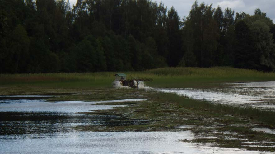 Vesikasvillisuuden niitot Tuuloksen järvet hankkeessa vesikasvillisuutta niitettiin heinä elokuussa 2011 Pyhäjärven venepaikalla,