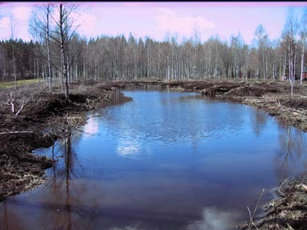 Kampakosteikoon otetaan osa Teuronjoen vedestä puhdistumaan.