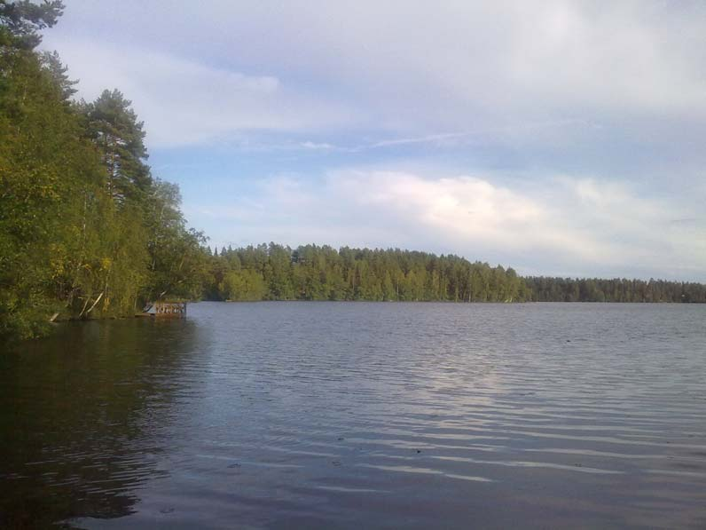 Näkymä Pannujärven rannalta 27.8.2012. Toteutetut toimet vuosittain Kun hankkeelle saatiin hyväksyntä yhdyskuntalautakunnassa, toimien toteutus käynnistyi maaliskuussa 2011.