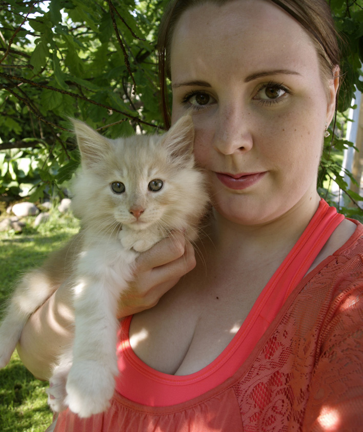 Perheeseeni kuuluu itseni ja puolisoni lisäksi kaksi kouluikäistä poikaa, jotka osallistuvat innolla kissojemme hoitoon. Kasvatan maine cooneja kasvattajanimellä FI*SatuMainen.