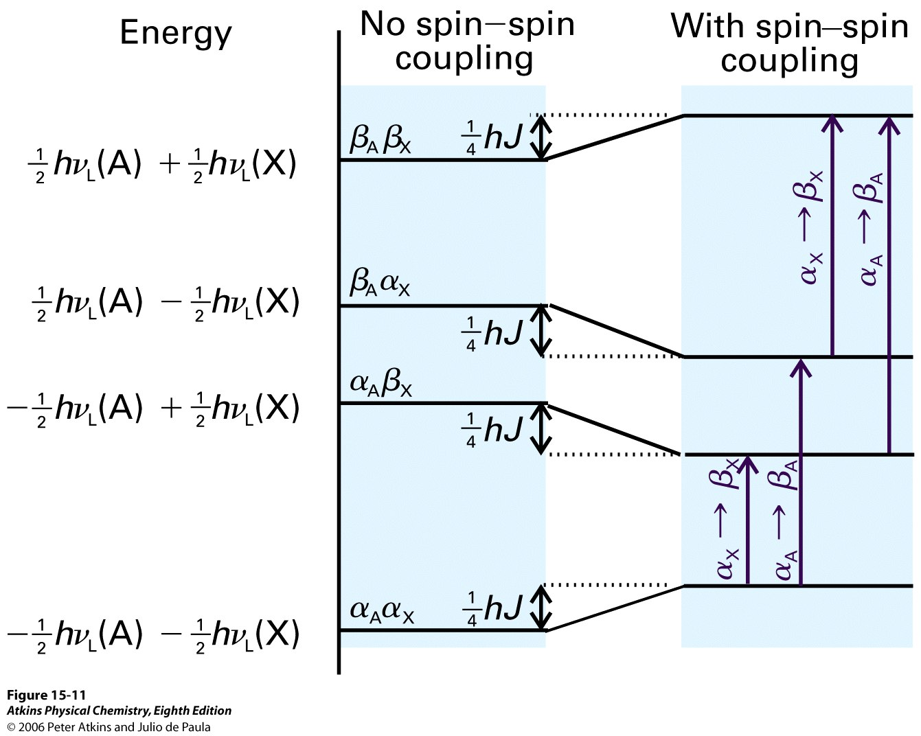 Spinnien kytkeytyminen muovaa energiatasoja: 3 4 1 2 E = "hv A m A " hv X m X + hjm A m X J = kytkentävakio (Hz) Tilat siirtyvät ylös tai alas tekijällä ( ) hj 1 2 " 1 2 J > 0 NMR siirtymässä toisen