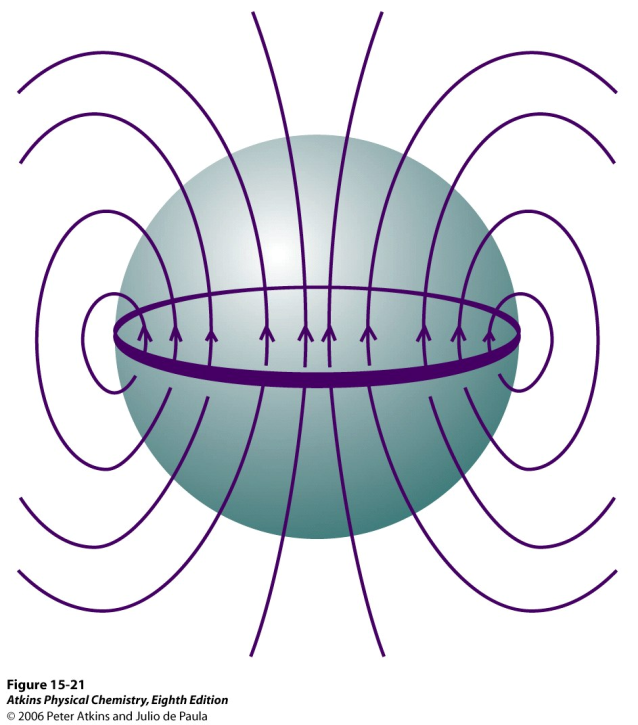 Tai Fermin kontakti, joka aiheutuu elektronin tunkeutumisesta ytimeen, jolloin elektroni kokee magn.