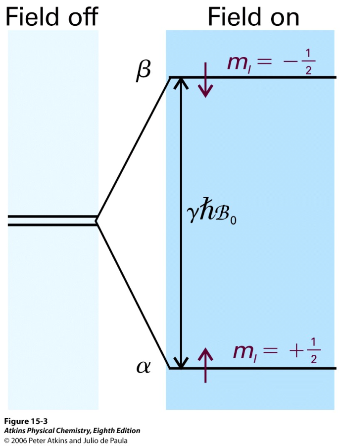 1 H 13 C 31 P 19 F I=1/2 ytimen energiatilat magneettikentässä "E = E # $ E % = 1 &hb $ $ 1 2 0 ( &hb 2 0) = &hb 0 Resonanssiehto fotonin absorptiolle: hv = "hb 0 Havaitaan, että resonanssia