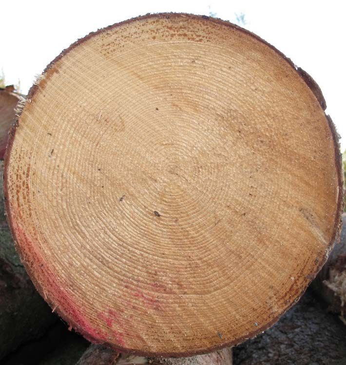 Tarkastelu ja johtopäätökset (3/3) Katkontatarkasteluissa jalostusarvotaulukon käyttö hintalistana simuloiduissa tutkimusleimikoissa: Vähensi tilavuudeltaan pienten tukkien, joiden jalostusarvo on