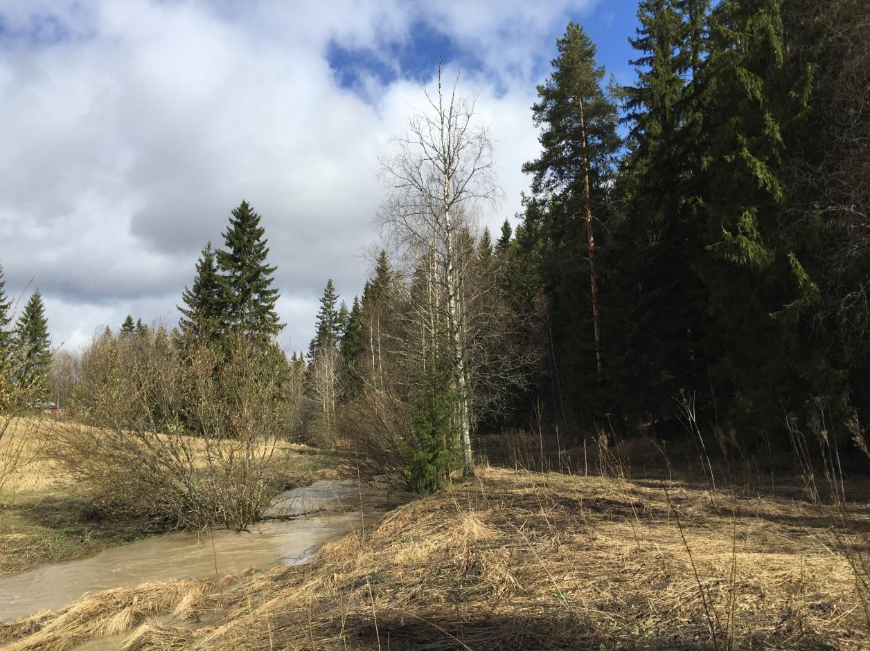 Arvio Sipoon Pohjois-Paippisten osayleiskaavan vaikutuksista läheisten Natura-alueiden