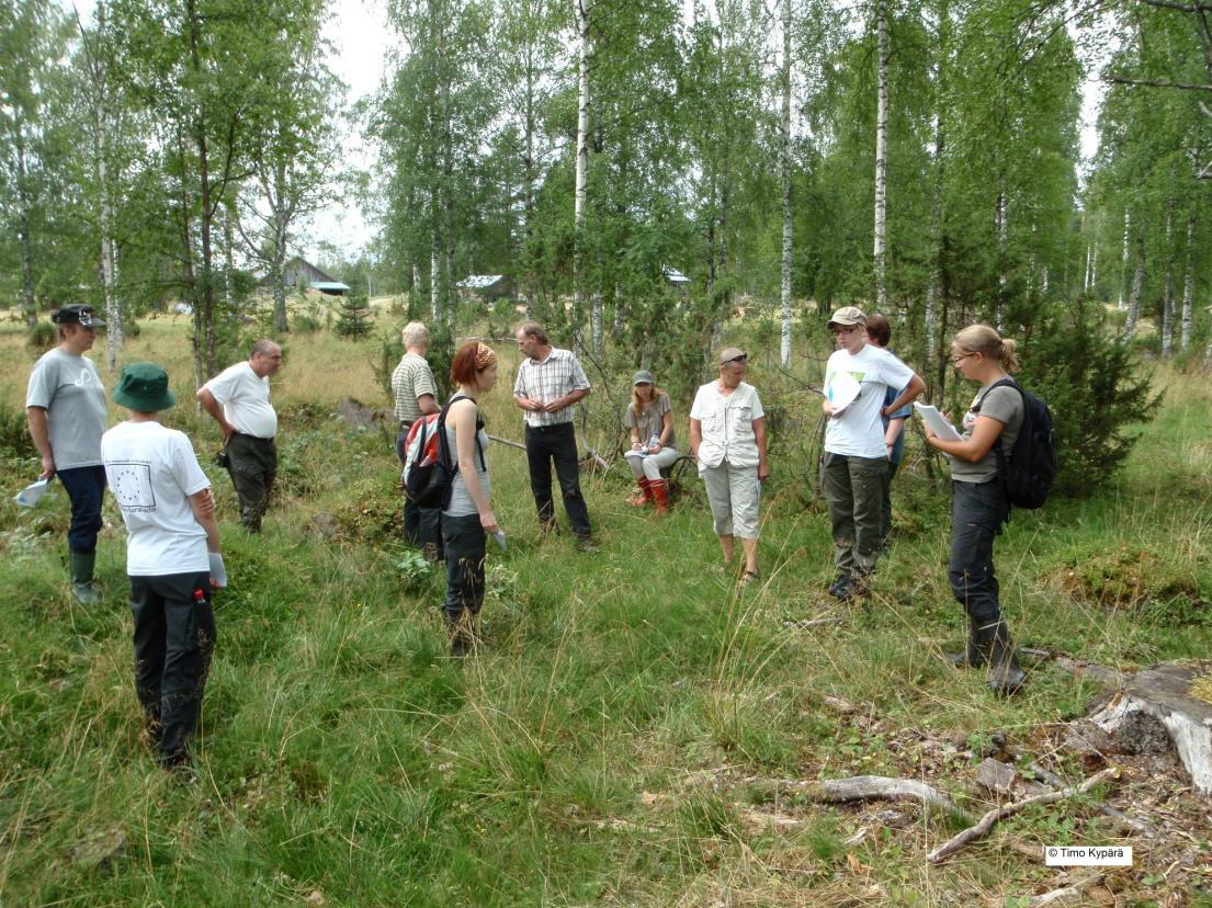 PARTALAN TILALLA 10.8.: Kuva 5.