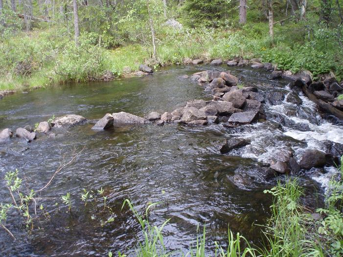 53 Kuva 26: Kirintöjoen Pitkäkosken niska-alue on selkeästi muokatun näköinen (kuva: Eero Hiltunen). Niskalta alavirtaan koski on varsin rännimäinen ja sorapohjaa on niukasti (kuva 27).