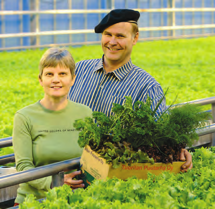 Porkkana Kausi: ympäri vuoden Tuorilan Puutarha Oy Tuorilan Puutarhassa on viljelty vihanneksia jo 50 vuoden ajan.