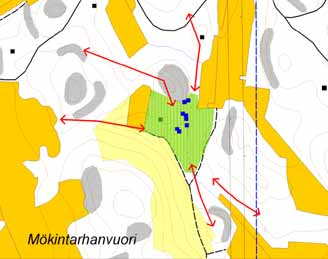 Lisäselvityksen mukaan liitooravan johtoalueen poikki liikkuminen on siten satunnaista ja uusi yhteisjohto voidaan toteuttaa nykyisten rinnalle itäpuolelle (kuva 30).
