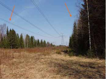 400 kv voimajohto Yllikkälä-Huutokoski 49 Mikkeli, Herttuainen: Herttuaisen lisääntymis- ja levähdyspaikka sijoittuu voimajohdon molemmin puolin (kuva 35).