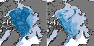ARKTINEN ALUE TOIMINTAYMPÄRISTÖNÄ Paksu, monivuotinen jää on häviämässä Uusi, yksivuotinen jää on ohutta ja sulaa kesäisin.