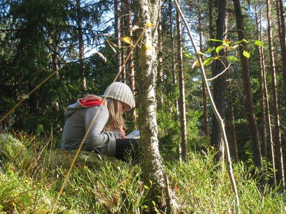 Luontokoulupäiviä 4-luokille siirrä opetus päiväksi ulos luontoon! Porvoon luontokoulu tarjoaa Porvoon kulttuurikasvatussuunnitelman puitteissa kaikille neljänsille luokille yhden luontokoulupäivän.