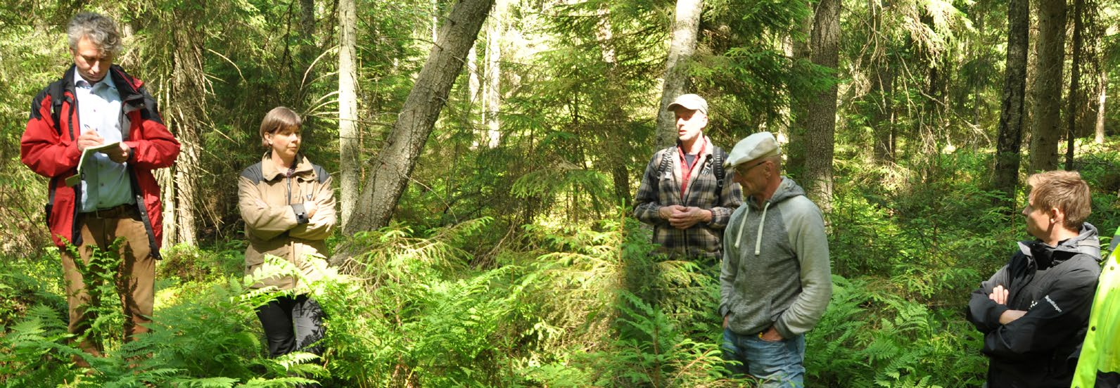 Työkalu luonnonhoidon neuvontaan metsänomistajan ja ammattilaisen kontaktissa Metsänomistajan valistus ja neuvonta nousi hyvin monessa kohtaa Monimetsä-aineistoa tärkeäksi ratkaisuksi luonnonhoitoon