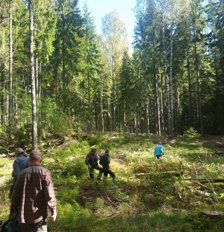 4.2.3 Yhteenveto tunnistettujen ratkaisujen tarpeesta Suomalaisissa talousmetsissä on hyvät lähtökohdat monimuotoisuuden turvaamiselle ja lisäämiselle.