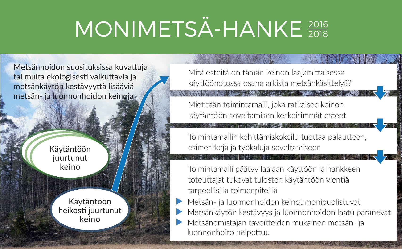 Hankkeen toisena vuonna metsänomistajat ja metsäalan toimijat kokeilevat selvitystyön perusteella valittuja toimintamalleja käytännössä.