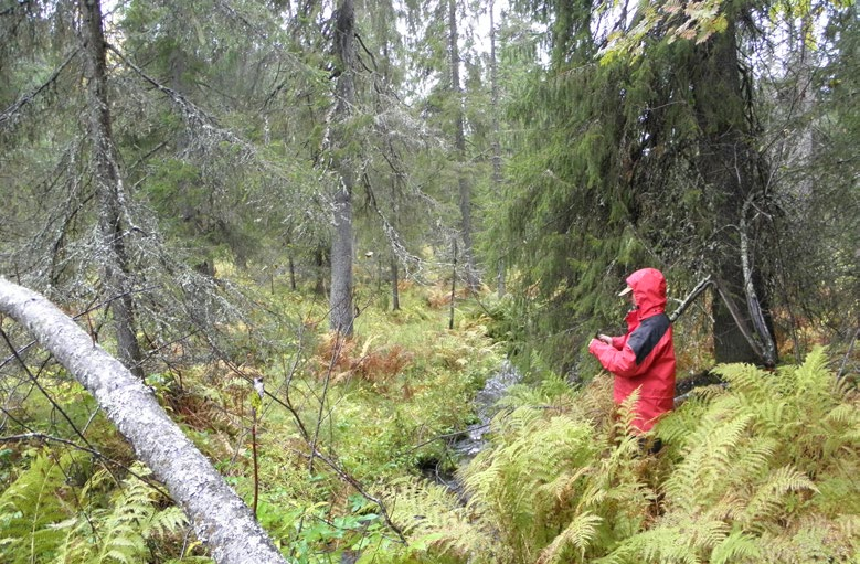 Talousmetsien luonnonhoidon laadun arviointi Suomen metsäkeskus tekee vuosittain valtakunnallisia luontolaadun arviointeja yksityismetsissä.