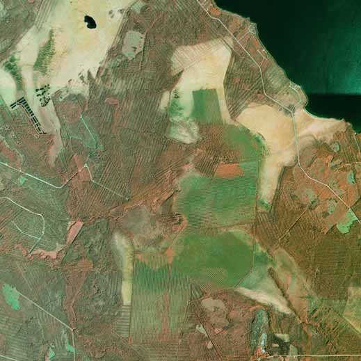 14 Patasuo - Pyhäntä, Kärsämäki ja Siikalatva- Turvetuotantoalueen HANKKEEN KUVAUS 4 HANKKEEN KUVAUS 4.