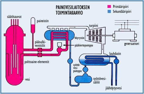 7 Kuva 1.1 Painevesilaitoksen toimintakaavio 1.2 Työn taustat Painevesilaitoksen rakenteesta johtuen käytännössä kaikki aktiivisuus esiintyy laitoksen primääripiirissä.