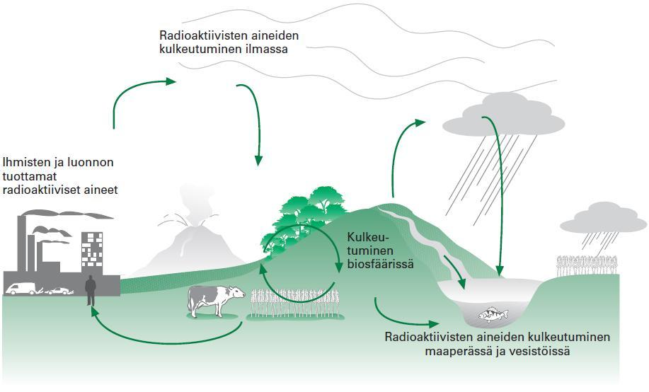12 2.5 Radioaktiivisten aineiden kulkeutuminen Säteilyaltistuksen kannalta on tärkeää ymmärtää ensin stabiilien aineiden kiertokulku.