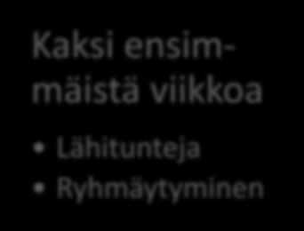 Avustajakoulutus