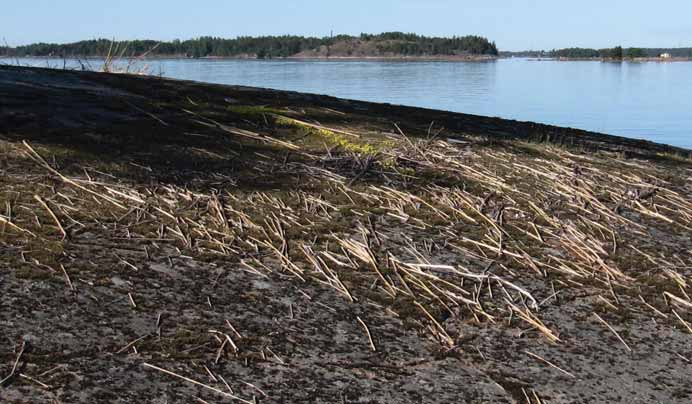 13 VUOLUKIVIKIUKAAT Aito ja alkuperäinen Mondex vuolukivikiuas,