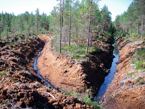 Teuvo Herranen Kuva 33.