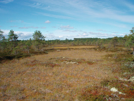 Kruunupyyssä tutkitut suot ja niiden turvevarat Osa 1 Kuva 52.