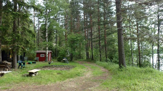3 Alue B Mäntyvaltaista kangasta, jossa myös kuusta jonkin verran aliskasvuna. Aluetta on rakennettu, rantametsät ovat melko avonaisia.