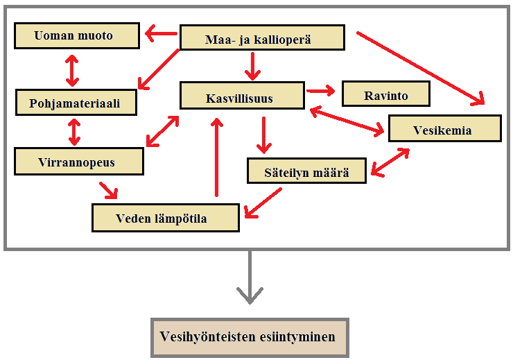 11 Kuva 2. Vesihyönteisten esiintymiseen vaikuttavia tekijöitä ja niiden yhteys toisiinsa yksinkertaistettuna (Hynes 1972: 229 230; Hawkins ym.