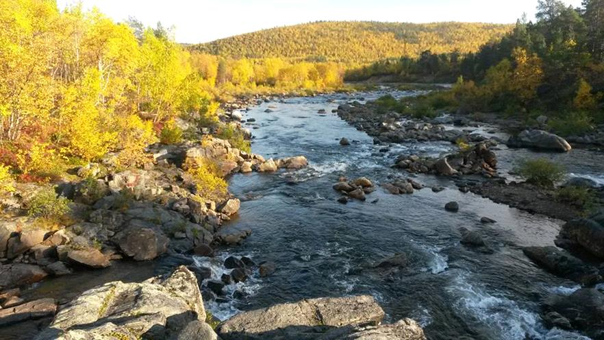 24 Kuva 4. Kevojärveen laskeva puro. (Valokuva Pauliina Björk 11.9.2015). 4.3. Hydrologia Tenojoki on jäässä noin puolet vuodesta, tyypillisimmin joulukuun alusta toukokuun loppuun.