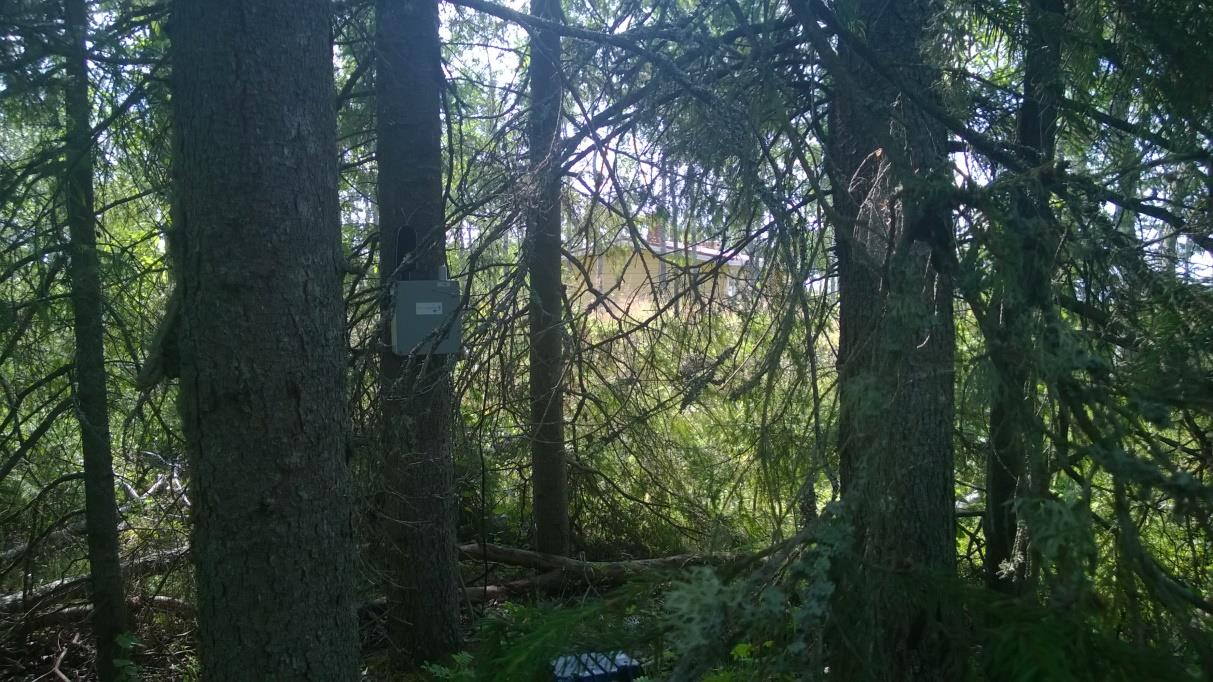 MITTAUSRAPORTTI FENNOVOIMA OY HANHIKIVI PYHÄJOKI 14.7. 11.8.