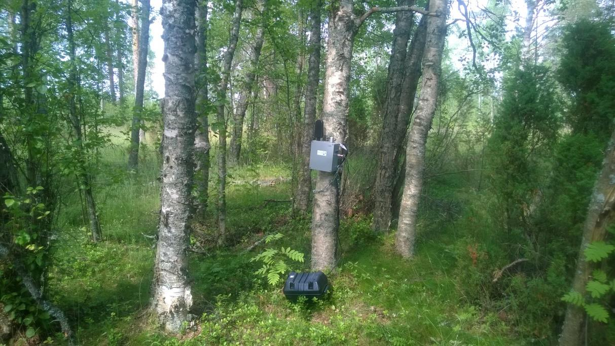 MITTAUSRAPORTTI FENNOVOIMA OY HANHIKIVI