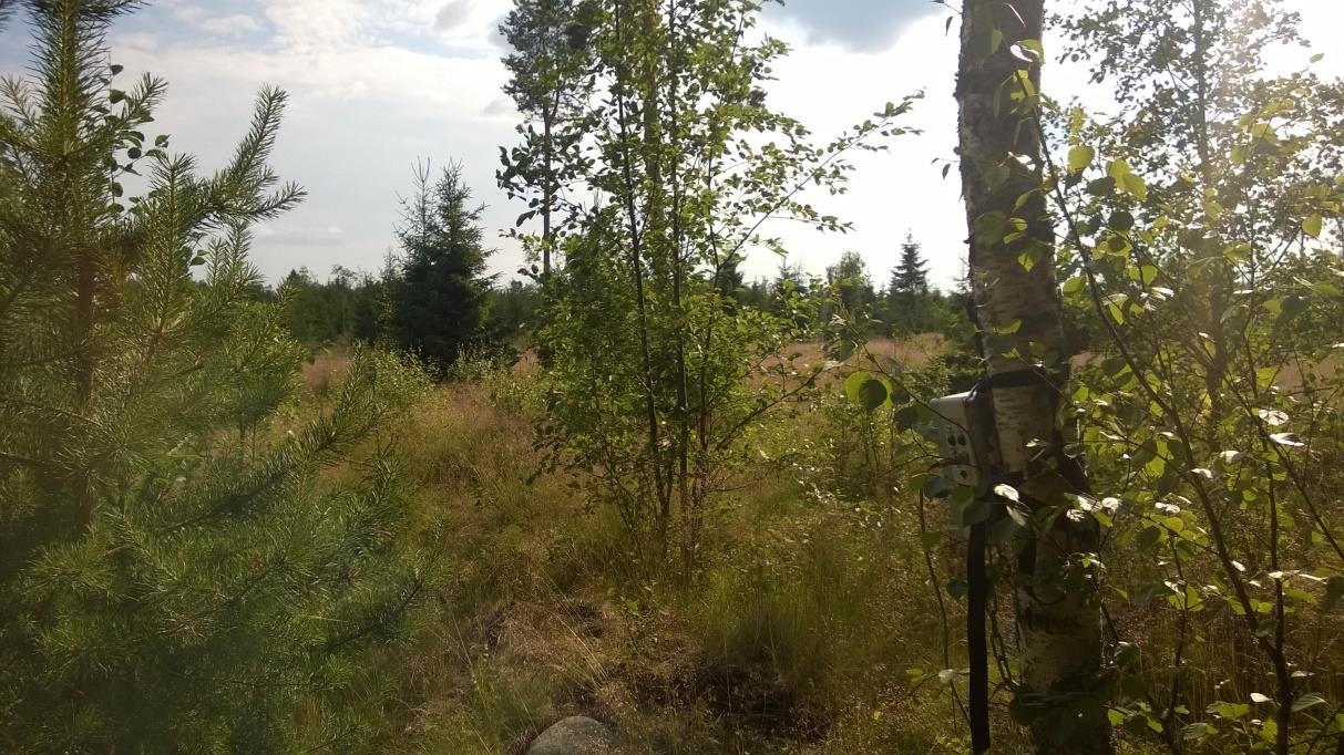 MITTAUSRAPORTTI FENNOVOIMA OY