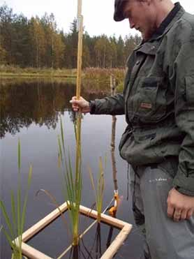 1 Kosteikkoon tulevan ja lähtevän veden määrä sekä laatu ja ainevirtaamat Kosteikkoon tulevaa ja lähtevää vedenlaatua (ph, rauta, kokonaisfosfori, kokonaistyppi, kiintoaine) sekä vesimääriä