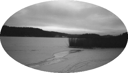 Kuntien ympäristökysely II Åbo Akademi 1998 Kunnan ympäristönsuojeluhallinto 1. Minkä perusratkaisun kuntanne on valinnut ympäristönsuojelutehtävien hoidossa?