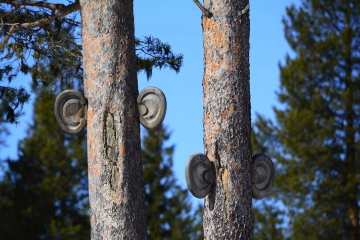 Kiitos Kohtasin lomallani taideteoksen, jonka nimi on