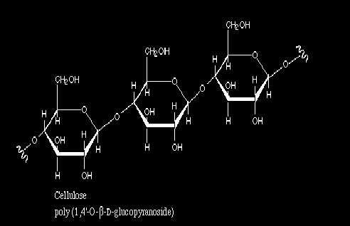 Selluloosa on soluissa mikrofibrilleinä, jotka muodostavat ketjuja vety-sidosten välityksellä.(the Plant Cell / Soluseinä. Solubiologian luennot 2003, kasvitiede.) 2.1.