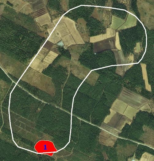 Metsälain mukaiset erityisen tärkeät elinympäristöt 1.