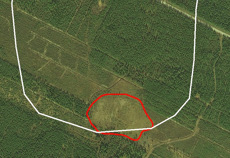 räme, jossa kasvaa runsas tupasvilla-pullosarakasvisto,