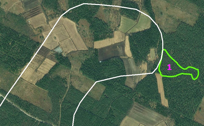 Huomionarvoiset luontokohteet 1. Korpinotkelma Tuulivoima-alue rajautuu idässä korpinotkelmaan.