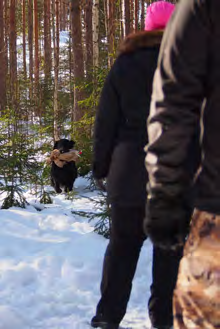 Kolmihenkisiä joukkueita oli mukana 25, joista rotuyhdistystämme edusti kolme. Alo-luokka alkoi perushakutehtävällä.