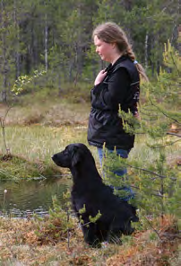 Ensin harjoittelemme koiran kanssa tunteja laskematta ja sitten kisoissa juuri ohjaaja heikentää usein koirakon suorituksen tasoa.