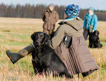 Jämsän seudulla olemme kokoontuneet neljästi tammi -helmikuun aikana. Koiria on ollut paikalla mukavasti vajaa kymmenkunta joka kerta.