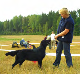 Kokeet ovat myös muuttuneet vuosien myötä ja B-kokeen rinnalle ovat tulleet WT- ja A-kokeet.