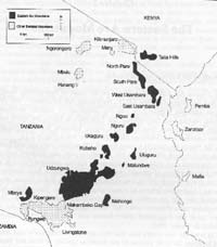 paineita metsät häviää arvioiden mukaan 92 000 ha/a (FAO 2002) 130 000 tai jopa 500 000 ha/a (NFP 1998) Metsäpolitiikan muutos Tansaniassa asteittainen muutos osallistavampaan (participatory)