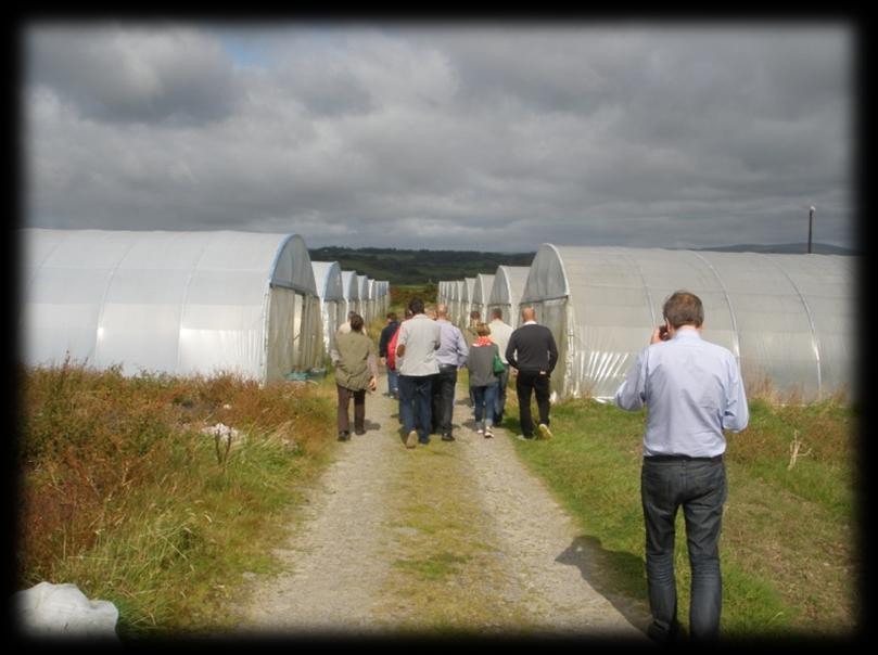 Seuraavaksi suuntasimme kohti Thornhill Organic Farm Anthony Boyle & Morgan Hurley, Pigs, Herbs &