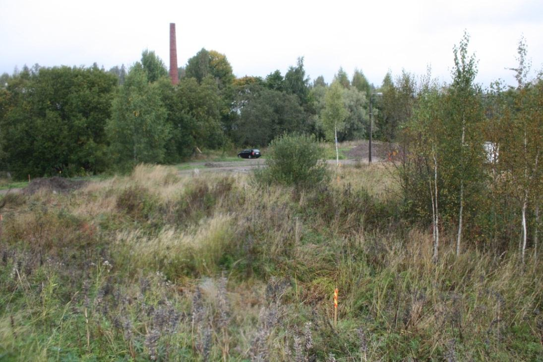 DG2706:2 Yleiskuva jokivarren alueelta. Keskellä kulkee tuleva tielinja, jolle sijoitettiin koeoja 1. S-N. Kuva Katja Vuoristo.