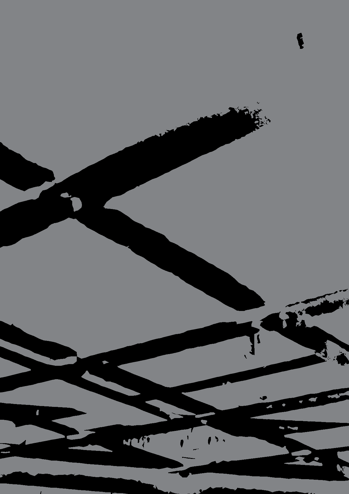 FIREFLY-LUCCIOLA Infrapunalämmitin rubiiniputkella Syttyy ja lämmittää välittömästi Säänkestävä IP65 (voidaan käyttää myös sateessa) Kevyt, nailonrakenteinen lämmitin, joka voidaan asentaa seinälle,