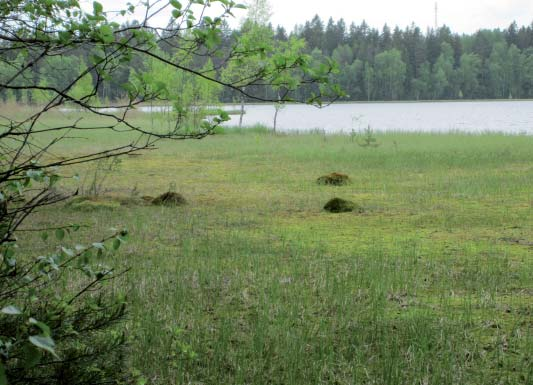 Näkymä kaava-alueen keskeltä